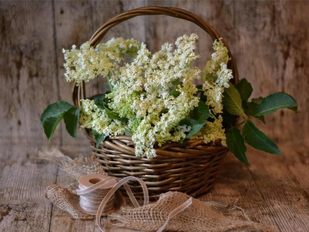 Flowers By Kate Wright - Flowers for all occasions, West Sussex, Horsham, South East